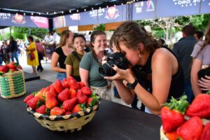 Excursiones, visitas guiadas y actividades en Irapuato Excursiones, visitas guiadas y actividades en Irapuato