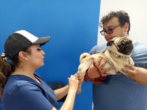 SSG informa últimas dosis de vacuna antirrábica en la Jurisdicción Sanitaria VI de Irapuato. SSG informa últimas dosis de vacuna antirrábica en la Jurisdicción Sanitaria VI de Irapuato.
