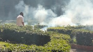 SSG elimina criaderos potenciales de dengue en 6 municipios. SSG elimina criaderos potenciales de dengue en 6 municipios.