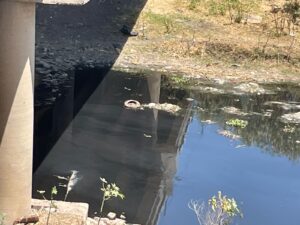 Sólo escurre agua negra en río Lerma Santiago Sólo escurre agua negra en río Lerma Santiago