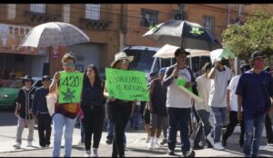 Posponen movilización cannabica en Irapuato por “causas de inseguridad” Posponen movilización cannabica en Irapuato por “causas de inseguridad”