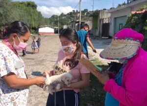 Invita la Jurisdicción Sanitaria 5 a vacunar a sus lomitos Invita la Jurisdicción Sanitaria 5 a vacunar a sus lomitos