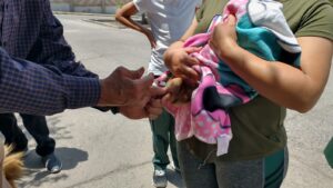 Comienza Semana de Vacunación Antirrábica en Abasolo Comienza Semana de Vacunación Antirrábica en Abasolo