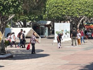 Insisten tianguistas salmantinos en que hay hostigamiento de municipio hacia ellos Insisten tianguistas salmantinos en que hay hostigamiento de municipio hacia ellos