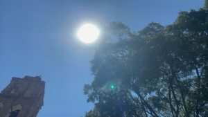 Fallece un hombre en León por las altas temperaturas Fallece un hombre en León por las altas temperaturas