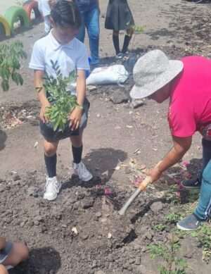 Ecología municipal arboriza espacio en Ejido Tlanalapa Ecología municipal arboriza espacio en Ejido Tlanalapa