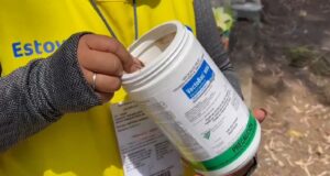 Previenen criaderos de dengue en Panteón Municipal Previenen criaderos de dengue en Panteón Municipal