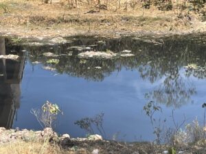 ALERTAN SOBRE AFECTACIÓN EN TIERRAS DE CULTIVO POR ESCASEZ DE AGUA ALERTAN SOBRE AFECTACIÓN EN TIERRAS DE CULTIVO POR ESCASEZ DE AGUA