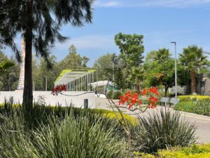 ¿Qué hace el Parque Irekua para proteger las plantas de rayos del sol?, aquí te contamos ¿Qué hace el Parque Irekua para proteger las plantas de rayos del sol?, aquí te contamos