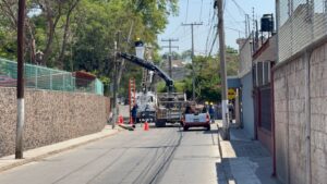 Cae árbol dentro de casa y deja sin luz por horas a vecinos de fraccionamiento Españita Cae árbol dentro de casa y deja sin luz por horas a vecinos de fraccionamiento Españita