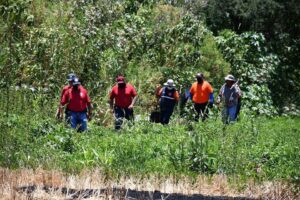 Evalúan la funcionalidad y mejora de las células de búsqueda en Irapuato Evalúan la funcionalidad y mejora de las células de búsqueda en Irapuato
