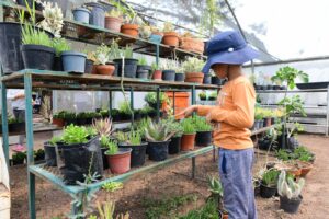 Ofrecen curso ‘Verano Ecológico’ para las y los niños irapuatenses Ofrecen curso ‘Verano Ecológico’ para las y los niños irapuatenses