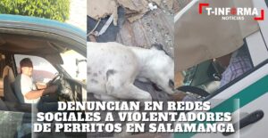 Denuncian en redes sociales a ciudadanos que maltratan perros en las calles de Salamanca Denuncian en redes sociales a ciudadanos que maltratan perros en las calles de Salamanca