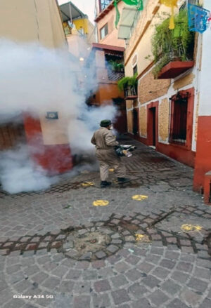 Se mantiene vigilancia epidemiológica contra el dengue en Guanajuato capital. Se mantiene vigilancia epidemiológica contra el dengue en Guanajuato capital.