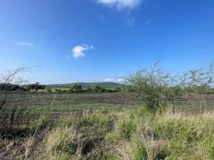 MATARON A 6 PERSONAS EN EL MISMO SECTOR EN TRES AGRESIONES A BALAZOS MATARON A 6 PERSONAS EN EL MISMO SECTOR EN TRES AGRESIONES A BALAZOS