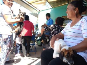 Trabajan por el bienestar animal en Irapuato Trabajan por el bienestar animal en Irapuato