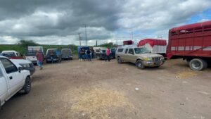 Ovicaprinos de Irapuato solicitan apoyo para mejorar condiciones de venta Ovicaprinos de Irapuato solicitan apoyo para mejorar condiciones de venta