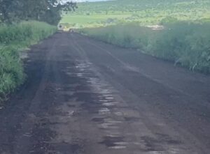 MUNICIPIO POSA FOTO PARA PRESUMIR BACHEO. CIUDADANOS REALIZAN OBRA PARA DIGNIFICAR CAMINO MUNICIPIO POSA FOTO PARA PRESUMIR BACHEO. CIUDADANOS REALIZAN OBRA PARA DIGNIFICAR CAMINO