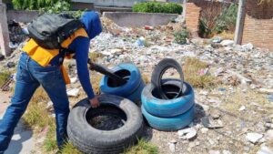 SSG se suma a la Lucha Internacional contra el Dengue. SSG se suma a la Lucha Internacional contra el Dengue.