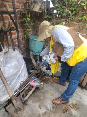 Fortalecen la prevención del dengue en Salamanca Fortalecen la prevención del dengue en Salamanca