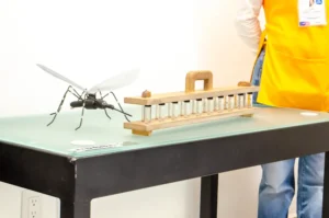 Guanajuato informa 283 casos por dengue 96 de ellos están activos. Guanajuato informa 283 casos por dengue 96 de ellos están activos.