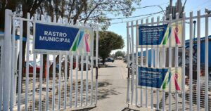 Rastro municipal Irapuato cerrará con altos ingresos y nueva cámara fría Rastro municipal Irapuato cerrará con altos ingresos y nueva cámara fría