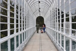 Inauguran paso peatonal en Solidaridad Inauguran paso peatonal en Solidaridad