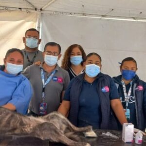 SSG presenta mega campaña de esterilización de perros y gatos en Valle de Santiago. SSG presenta mega campaña de esterilización de perros y gatos en Valle de Santiago.