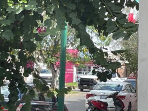 ASESINAN A MUJER EN COMUNIDAD DE VALTIERRA ASESINAN A MUJER EN COMUNIDAD DE VALTIERRA
