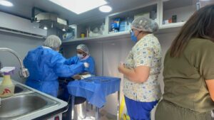 Solicitudes para esterilización canina son los principales reportes en los miércoles ciudadanos Solicitudes para esterilización canina son los principales reportes en los miércoles ciudadanos