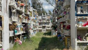 Descuidos en el Panteón Municipal de Irapuato; prevén labores intensivas antes de Día de Muertos Descuidos en el Panteón Municipal de Irapuato; prevén labores intensivas antes de Día de Muertos