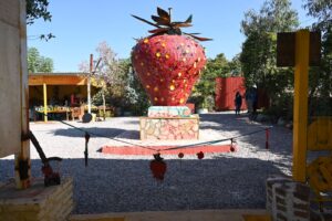 Develan escultura de la Fresa de Oro Develan escultura de la Fresa de Oro