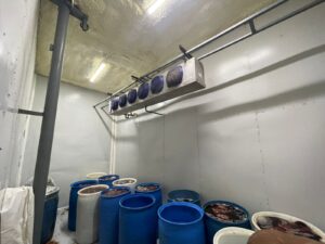 Cámara de enfriamiento en Rastro Municipal permitirá ingreso de más de 200 reses Cámara de enfriamiento en Rastro Municipal permitirá ingreso de más de 200 reses