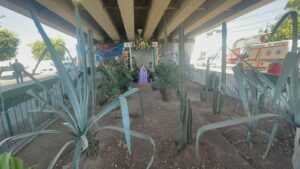 Celebran a Santa Cecilia en Irapuato con música y agradecimiento Celebran a Santa Cecilia en Irapuato con música y agradecimiento