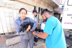 Sólo el 70 % de solicitudes para adopción de perritos se concretaron en 2024: CANI Sólo el 70 % de solicitudes para adopción de perritos se concretaron en 2024: CANI