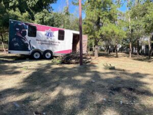 MUNICIPIO NO TIENE UN REGISTRO DE ANIMALES QUE VIVEN EN EL ECOPARQUE Y SI EXISTE RIESGO DE VIDA PARA COLONIA DE ARDILLAS MUNICIPIO NO TIENE UN REGISTRO DE ANIMALES QUE VIVEN EN EL ECOPARQUE Y SI EXISTE RIESGO DE VIDA PARA COLONIA DE ARDILLAS