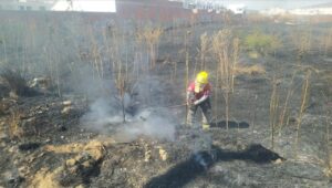 PIDE BOMBEROS A CIUDADANÍA PREVENIR INCENDIOS DE PASTIZALES PIDE BOMBEROS A CIUDADANÍA PREVENIR INCENDIOS DE PASTIZALES