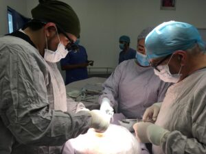 SSG cierra el 2024 con cifra récord de donación de órganos y tejidos. SSG cierra el 2024 con cifra récord de donación de órganos y tejidos.