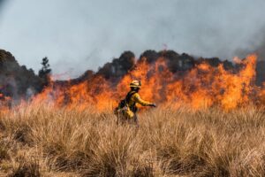 DIFUNDE EL ESTADO MEDIDAS PREVENTIVAS PARA EVITAR INCENDIOS FORESTALES Y DE PASTIZALES DIFUNDE EL ESTADO MEDIDAS PREVENTIVAS PARA EVITAR INCENDIOS FORESTALES Y DE PASTIZALES