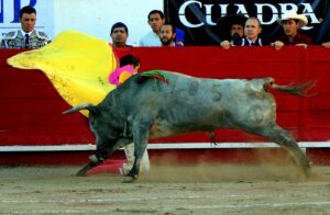 El Calita también cortó oreja y Juan Pablo Sánchez estuvo tesonero El Calita también cortó oreja y Juan Pablo Sánchez estuvo tesonero
