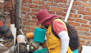 DETECTA JURISDICCIÓN SANITARIA MOSCOS Y LOS ESTUDIAN PARA SABER SI SON TRANSMISORES DE DENGUE DETECTA JURISDICCIÓN SANITARIA MOSCOS Y LOS ESTUDIAN PARA SABER SI SON TRANSMISORES DE DENGUE