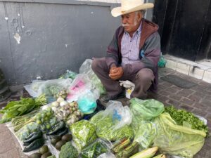 Adultos mayores luchan por sobrevivir como comerciantes en centro de Irapuato Adultos mayores luchan por sobrevivir como comerciantes en centro de Irapuato