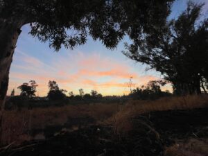 COMIENZAN A SUBIR LAS TEMPERATURAS DE 35 A 40 GRADOS DURANTE EL DÍA Y SERÁN FRESCAS EN MAÑANA Y NOCHE COMIENZAN A SUBIR LAS TEMPERATURAS DE 35 A 40 GRADOS DURANTE EL DÍA Y SERÁN FRESCAS EN MAÑANA Y NOCHE
