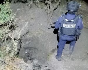 Resultados de la estrategia CONFIA en Guanajuato: más de 104 mil aseguramientos en enero 2025 Resultados de la estrategia CONFIA en Guanajuato: más de 104 mil aseguramientos en enero 2025