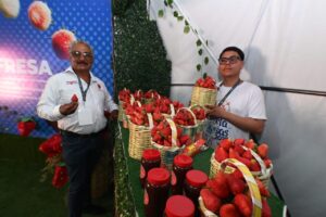 Lanza Guanajuato programa de créditos de hasta $3 millones para emprendedores locales Lanza Guanajuato programa de créditos de hasta $3 millones para emprendedores locales