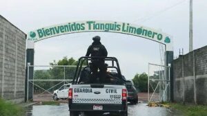 Cierran cinco empacadoras de limón en Tierra Caliente por inseguridad Cierran cinco empacadoras de limón en Tierra Caliente por inseguridad