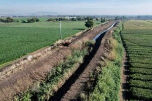 Irapuato impulsa el desarrollo agrícola y la sostenibilidad ambiental con acciones pioneras Irapuato impulsa el desarrollo agrícola y la sostenibilidad ambiental con acciones pioneras