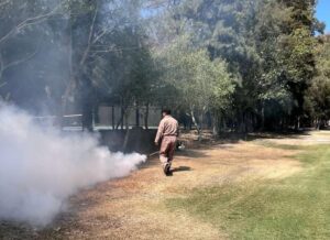 Previene Salud GTO transmisión de dengue durante temporada vacacional Previene Salud GTO transmisión de dengue durante temporada vacacional