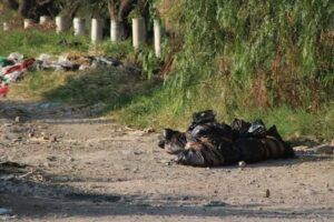 Ocupa México tercer lugar a nivel mundial en crimen organizado Ocupa México tercer lugar a nivel mundial en crimen organizado