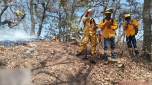 Incendio en la Sierra de Puruagua consume 700 hectáreas; avanzan labores de control en Guanajuato y Michoacán Incendio en la Sierra de Puruagua consume 700 hectáreas; avanzan labores de control en Guanajuato y Michoacán